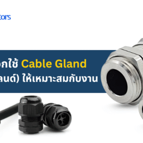 Cable Gland
